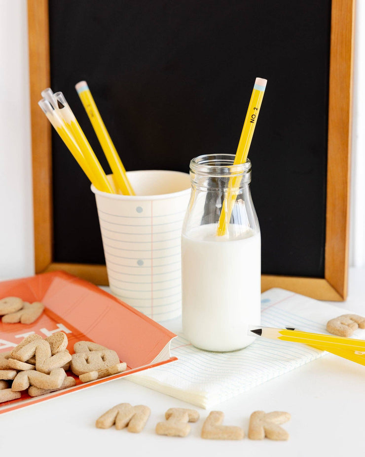 Pencil Reusable Straws - 12 count