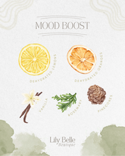 Mood Boost Simmer Pot | Lemon Orange Rosemary Vanilla